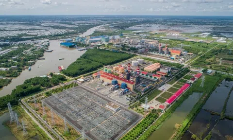 Mỗi ngày nộp ngân sách Nhà nước 355 tỷ đồng, doanh nghiệp này kinh doanh gì mà nguồn thu "khủng" vậy?