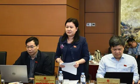 Đề xuất chi 20 tỉ đồng để xây dựng một bộ luật, đại biểu Quốc hội nói "con số to quá"