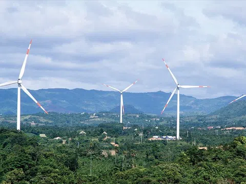 Sau nhịp tăng hơn 7 lần, cổ phiếu của doanh nghiệp từ bỏ ngành nghề xây lắp để "phiêu lưu" với chứng khoán bắt đầu điều chỉnh, mất gần 30% từ đỉnh