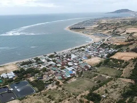 Người dân có thể trực tiếp giám sát Dự án điện hạt nhân Ninh Thuận