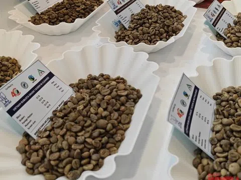 Giá cà phê hôm nay 5-3: Tăng nóng, có thể lập đỉnh 135.000 đồng/kg