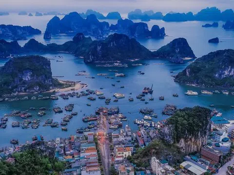 Đề nghị Bộ Chính trị cho phép hoàn thiện Đề án Khu kinh tế Vân Đồn