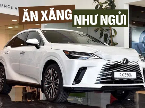 Lexus RX hybrid 2025 giá dự kiến từ 3,5 tỷ đồng tại Việt Nam, dễ bán tháng sau, cạnh tranh X5, Q7 bằng động cơ tiết kiệm như Vios