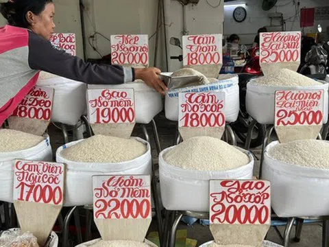 Giá gạo giảm mạnh, Thủ tướng chỉ đạo khẩn