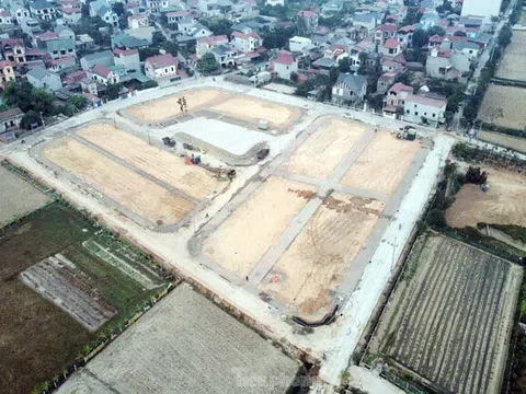 Đấu giá đất Sóc Sơn, Hà Nội: Cao nhất gần 50 triệu đồng/m²