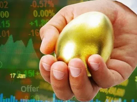 SGI Capital: Kiểm soát chặt chẽ chi tiêu công và tăng trưởng kinh tế tốt trong 1 thập kỷ giúp Việt Nam có nền tài chính quốc gia lành mạnh hàng đầu thế giới