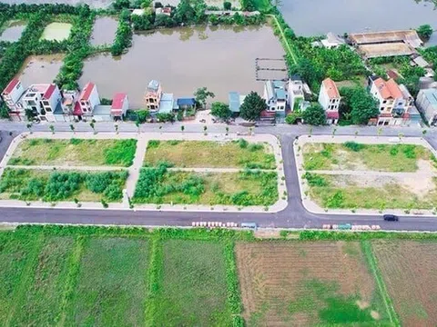 Sốt đất đấu giá tan nhanh như bong bóng, nhà đầu tư rút ra bài học đau thương