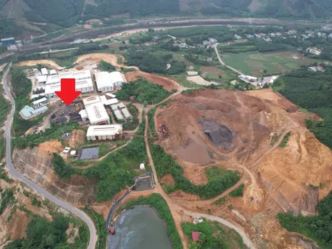 Lưu Đức Hoa và loạt DN dùng chiêu trò gây thiệt hại cho “kho báu” top 2 thế giới của Việt Nam như thế nào?