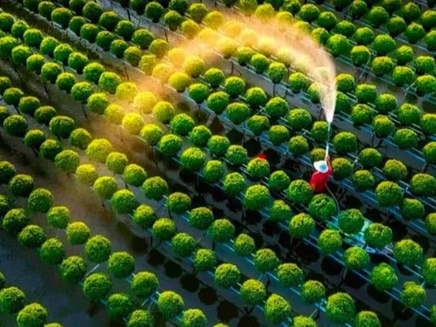 Lĩnh vực chục tỷ đô của Việt Nam "cất cánh" mạnh mẽ: Khả năng dẫn đầu ASEAN, thế giới đang đua làm