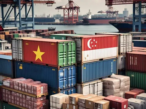Singapore tăng mạnh nhập khẩu hàng Việt Nam: Đâu là sản phẩm khiến đảo quốc này đặc biệt ưa chuộng?