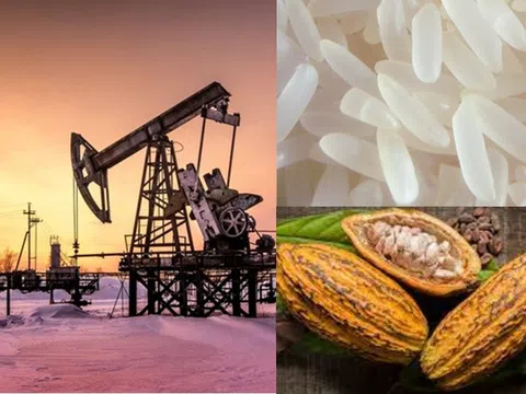 Thị trường ngày 26/3: Giá dầu diễn biến trái chiều, đồng cao nhất gần 6 tháng