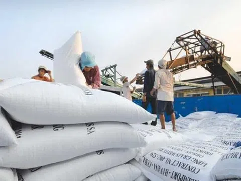 Giá gạo Việt xuất khẩu tăng, vượt qua Ấn Độ