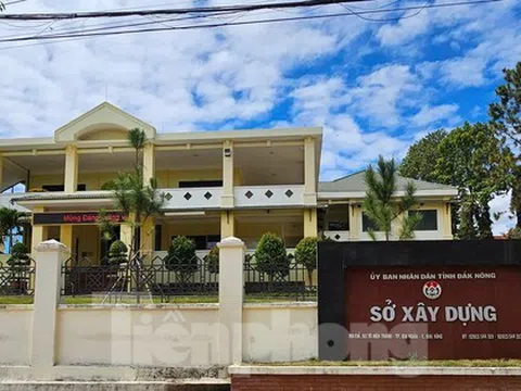 Vụ trưởng phòng bị điều xuống làm cấp phó: Đắk Nông chỉ đạo gì?
