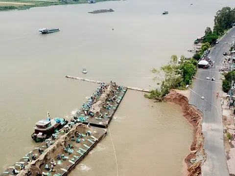 Lý do vốn FDI 'chảy' vào Đồng bằng sông Cửu Long rất thấp
