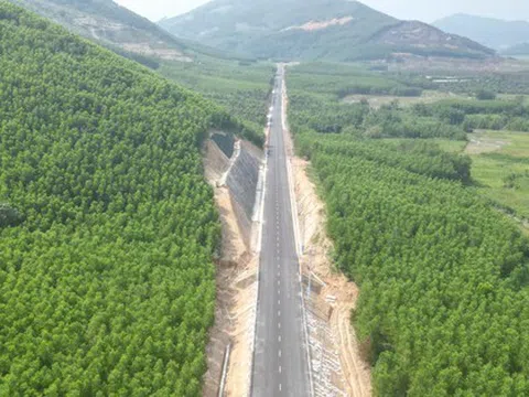 Có tin vui từ Bình Định