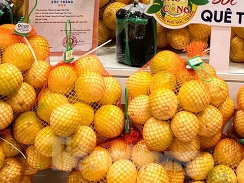 Chanh leo độc lạ giá cao chót vót vẫn không có mà bán