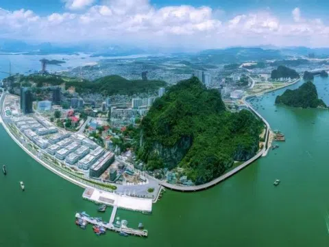 Tỉnh nhiều TP nhất Việt Nam giáp Trung Quốc, "có rừng vàng, biển bạc" không thuộc diện phải sáp nhập?