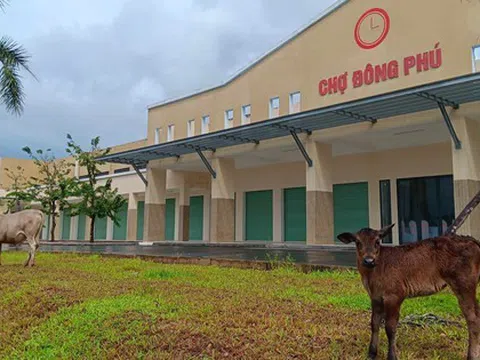 Thanh tra 5 dự án BĐS, Quảng Nam yêu cầu thu hồi 1,7 tỉ đồng
