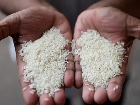 Mỹ có thể 'siết gọng kìm' thuế quan với gạo Thái Lan, cuộc chơi chuyển hướng có lợi cho gạo Việt Nam?