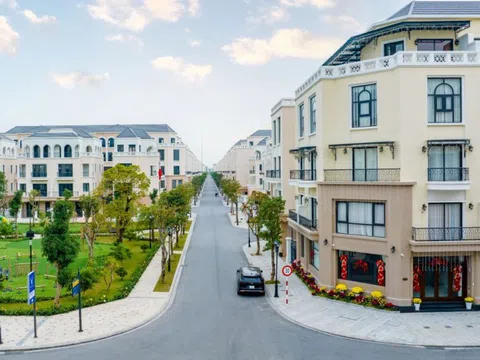 Lời giải nào cho các "điểm đau" của đầu tư đất nền?