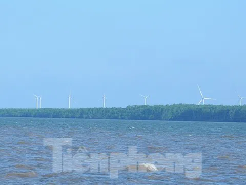 Sắp đấu thầu 5 dự án điện gió hơn 13.800 tỷ ở Trà Vinh