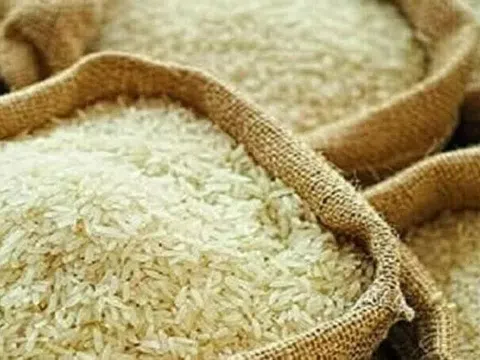 Gạo Ấn Độ chạm mức thấp nhất kể từ tháng 6/2023
