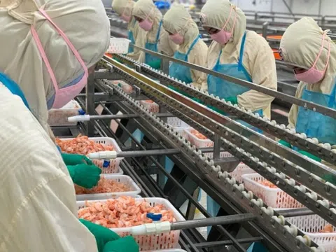 DN Việt bán đồ ăn lớn nhất nhì cho người Mỹ: thu về vài trăm triệu USD, giá trị sổ sách 430.000 đồng/cp, EPS 70.000 đồng, nhiều năm liền cổ tức 100%