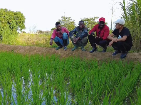 Bí thư huyện về thăm trang trại của team Quang Linh châu Phi, 'đứng hình' khi nhìn thấy cây lúa của Việt Nam, hứa hẹn 1 điều khiến người dân xúc động