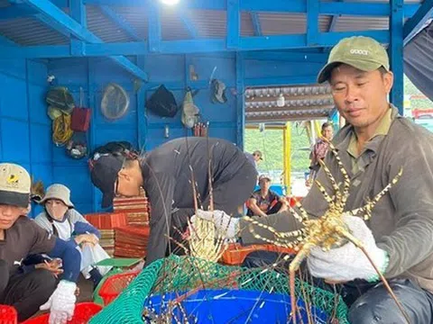 Xuất khẩu nông sản tăng ngay đầu năm, vững tiến tới 65 tỷ USD