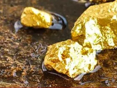 Việt Nam có những mỏ vàng nào?