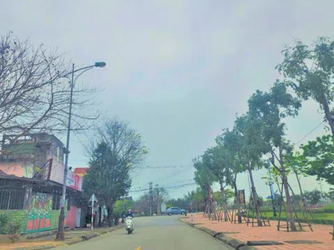 Quảng Bình: Khởi tố 22 bị can liên quan đến đại án Cây xanh Công Minh