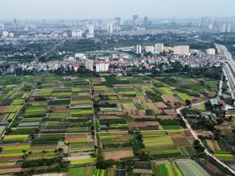 Gia hạn nộp tiền thuê đất năm 2025