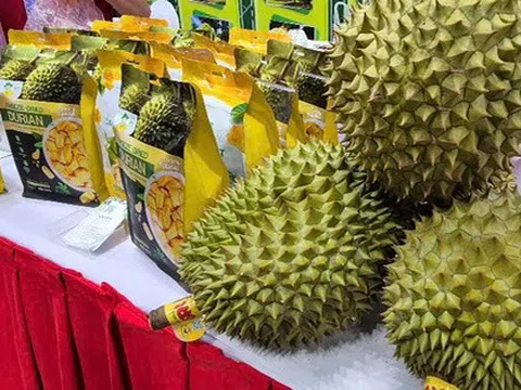 Sầu riêng xuất khẩu còn ít hơn chuối