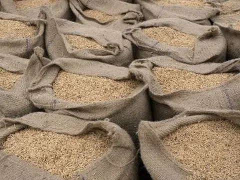 Mỹ áp thuế đối ứng 36%, Thái Lan kêu gọi bảo vệ một loại nông sản vì lo mất thị phần vào tay Việt Nam