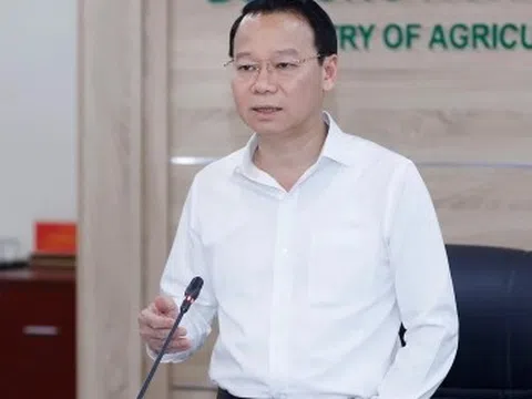 Bộ trưởng Đỗ Đức Duy: Doanh nghiệp nông sản sẵn sàng kịch bản Mỹ không giảm thuế