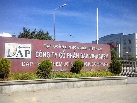 Doanh nghiệp bán phân bón công bố lợi nhuận "khủng" quý 1/2025 tăng 360%, đạt hơn 50% kế hoạch năm