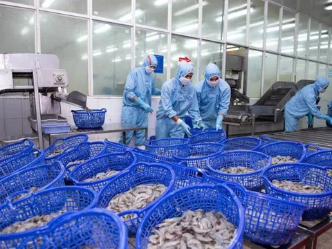 Lợi nhuận Sao Ta "bốc hơi" mạnh ngay trong quý đầu năm 2025