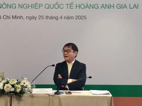 Ông Trần Bá Dương: HAGL Agrico đang là ‘xác chết’, Thaco phải nỗ lực cứu chứ nếu 'chết' lấy đâu mà đòi 12.000 tỷ?