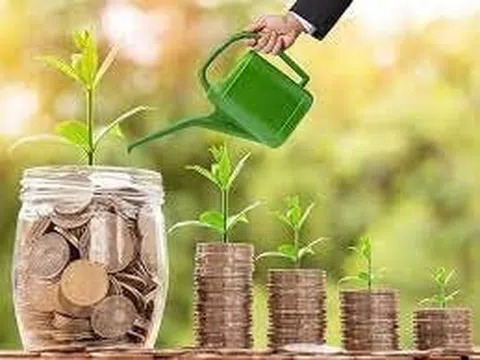Lịch chốt quyền cổ tức 28/4-29/4: Cổ tức tiền mặt cao nhất 25%