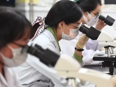 Chuyên gia cao cấp được hưởng chế độ về công vụ tương đương Bộ trưởng