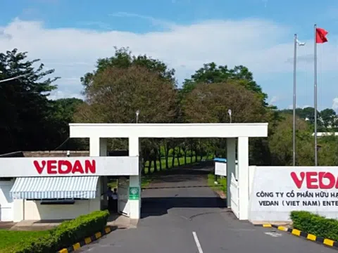 Đại gia mì chính, bột ngọt lớn nhất Đông Nam Á than 'khốc liệt' dù thị trường Việt Nam đem về hơn 4.000 tỷ doanh thu, vượt trội so với Nhật Bản, Trung Quốc, Mỹ