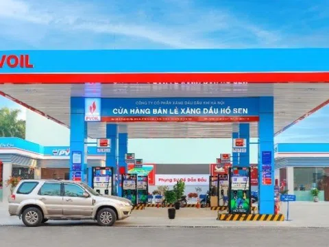Hai 'ông lớn' xăng dầu ứng phó với chuyển dịch năng lượng