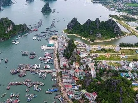 Quảng Ninh báo tin vui