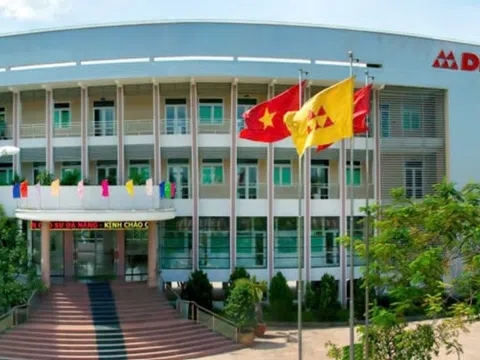 Cao su Đà Nẵng báo lãi quý thấp nhất thập kỷ qua, lãnh đạo nói gì?