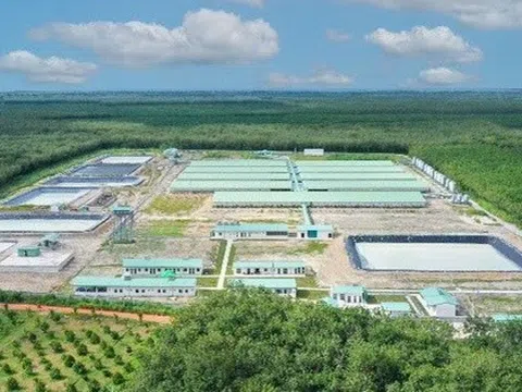 Doanh thu giảm, lãi ròng BAF Việt Nam quý I/2025 vẫn tăng 12,5%