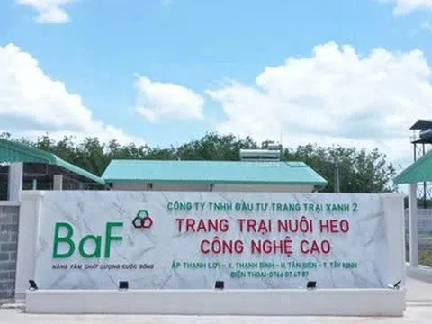 Baf Việt Nam muốn huy động 500 tỷ đồng từ kênh trái phiếu nhằm cơ cấu nợ