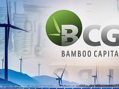 Loạt cổ phiếu trong hệ sinh thái của ông Nguyễn Hồ Nam "có biến"