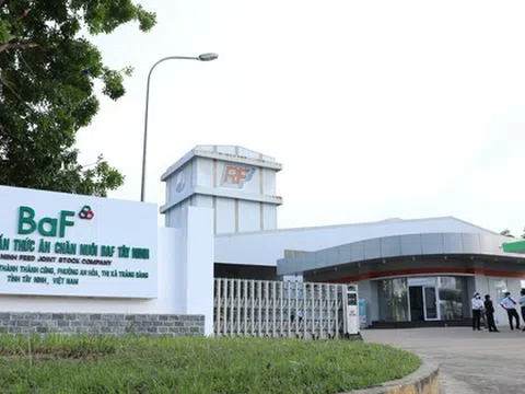 Ngỡ ngàng doanh thu của Vinamilk, BAF