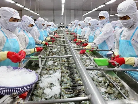 "Vua tôm" Minh Phú thoát lỗ nhờ tiết giảm chi phí