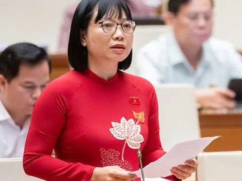 Đại biểu Quốc hội lo ngại "công ty ma" lợi dụng khi chuyển sang cơ chế hậu kiểm